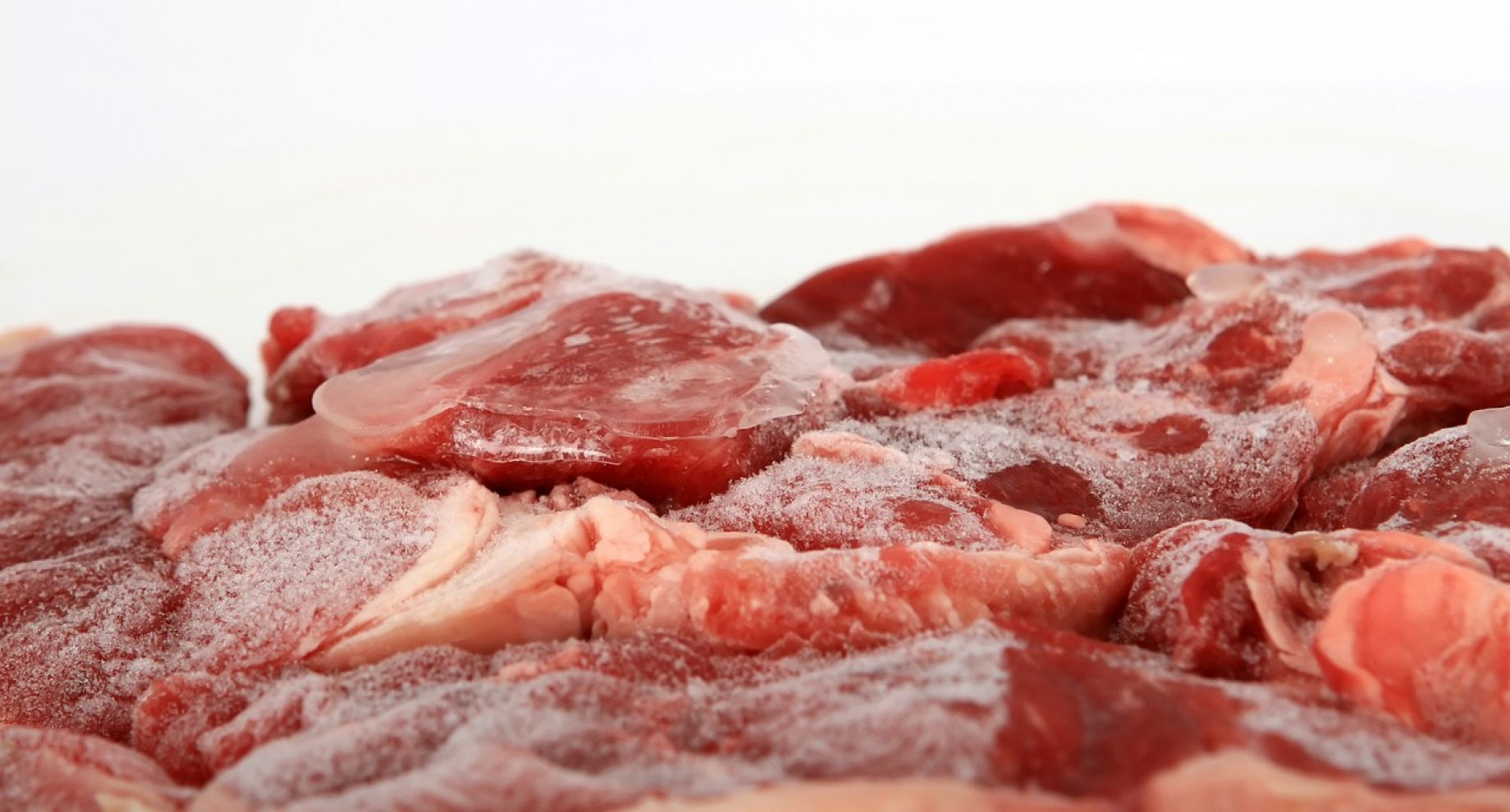 Distribuidor Alimentos Congelados